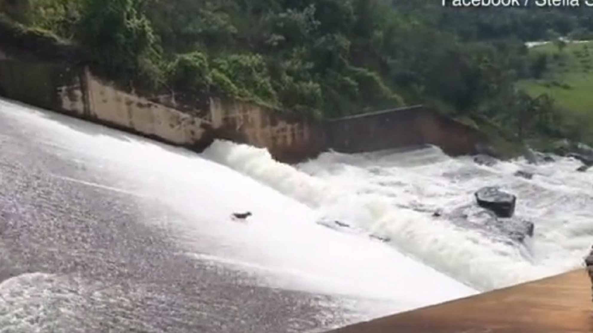 Video: jardinero le salvó la vida a un perro arrastrado por el agua de una represa